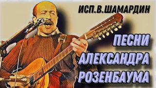 14. Песни Александра Розенбаума. Гитара имени Луначарского. Исп. В.Шамардин