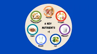 Explore the Six Key Nutrients (+1)!
