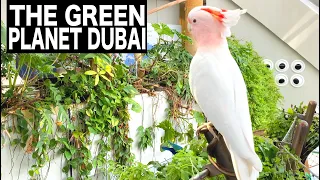 THE GREEN PLANET DUBAI Complete Tour | 4K | Dubai Tourist Attraction