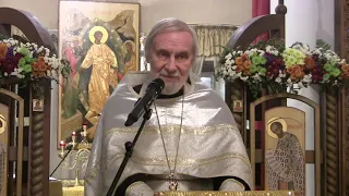 Проповедь на Всенощной 20 11 2020 прот. Александр Борисов