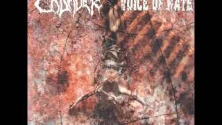 Voice Of Hate - Thrash And Burn