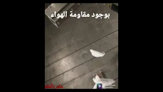 تجربة السقوط الحر ..بوجود الهواء وبعد انعدام الهواء