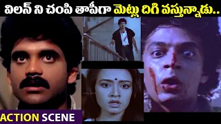 Shiva Movie || Nagarjuna, Amala, Raghuvaran || Action Scenes || Shalimar Film Express