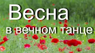 Пространство Весна. Весна в вечном танце -это  мысли вслух. Музыка Сергея Чекалина  "Пространство"