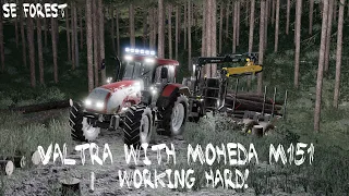 FS22 Forestry | Valtra with moheda m151 trailer working hard in final fell! | Holmakra