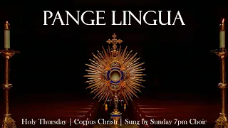 Pange Lingua | Catholic Hymn & Chant | Holy Thursday/Corpus Christi | Latin (w/ English translation)