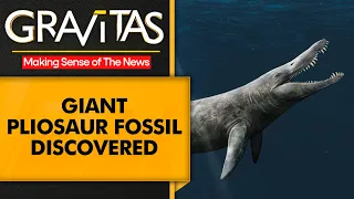 Gravitas: Pristine Pliosaur fossil uncovered in Dorset cliffs