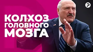 Заслуженный колхозник. Во что Лукашенко превратил сельское хозяйство в Беларуси?