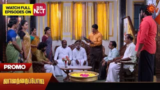 Vanathai Pola - Promo | 24 May 2024  | Tamil Serial | Sun TV