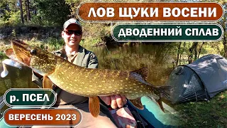 ЛОВЛЯ ЩУКИ ВОСЕНИ. ДВОДЕННИЙ СПЛАВ по річці ПСЕЛ на Сумщині у ВЕРЕСНІ 2023