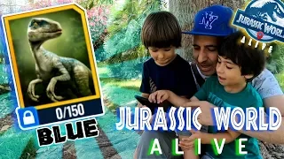 JURASSIC WORLD ALIVE 🦖HAN SOLTADO A BLUE!! 🦕  juegos android y aplicaciones para niños
