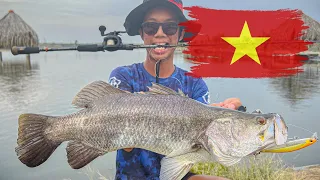 Catching Barramundi in Vietnam | Pond Fishing | Catch and Release