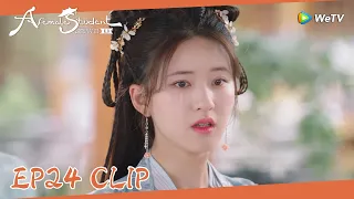 EP24 Clip | Father Sang was about to die? ! Yunzhi had to marry Lan!| 国子监来了个女弟子| ENG SUB