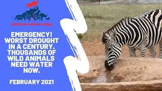 Emergency worst drought in a century. Thousands of wild animals need water now!