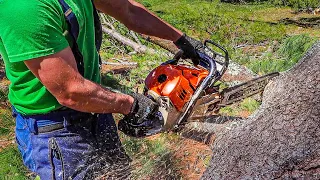 CUT WITHOUT BRANCHES GETTING PINCHED