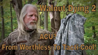 Walnut Dyeing 2! ACU? From Worthless To Tacti-Cool!