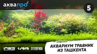 5. Аквариум травник из Ташкента #АкваПро