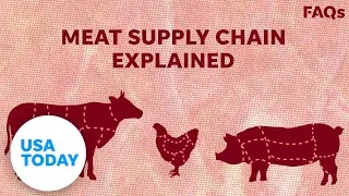 How COVID-19 affects US livestock supply chain | USA TODAY