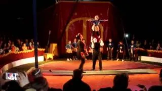 Circus Bellissimo