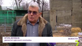 В Одесском зоопарке похвастались достижениями за прошлый год