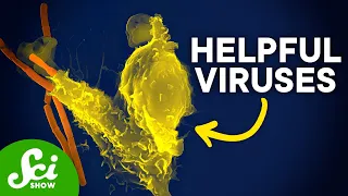 The Viruses That Changed Our World