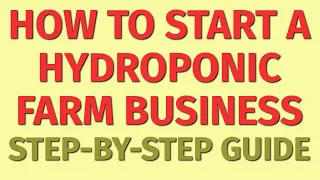 Starting a Hydroponic Farm Business Guide | How to Start a Hydroponic Farm Business | Business Ideas