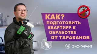 Как подготовить квартиру к обработке от тараканов.