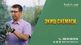 Экиш схемаси. #agro #agronomia #agrar #agranews #agronomy