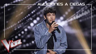 Javier Crespo - Manos de tijera | Blind auditions | The Voice Antena 3 2022