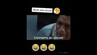 Жопа или почки. смотреть до конца