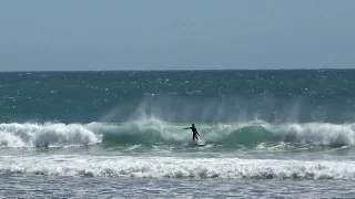 Kumara Patch - Taranaki