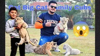 Finally White Tiger Cub Agya Mere Pas 😍 | Suggest Me Name of My Tiger Cubs | Nouman Hassan |