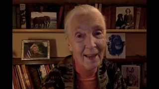 A Message for Huntington Hospital from Dr. Jane Goodall - January 18, 2022