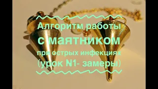 Алгоритм работы с маятником при острых инфекциях (урок №1 - замеры)