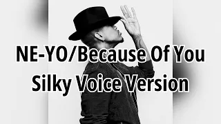 NE-YO/Because Of You(Silky Voice version)