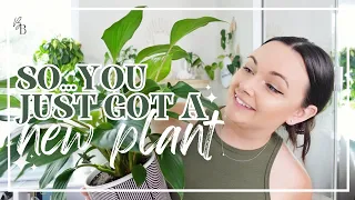 DOS & DON'TS For Bringing Home A New Plant | Houseplant Care | Buying A New Plant