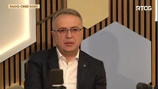 LINK - Danilović:"Mandić može izvršiti pritisak na Spajića da odustane od podrške Rezoluciji"