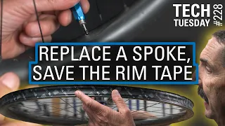 Replace a Spoke, Save the Rim Tape | Tech Tuesday #228