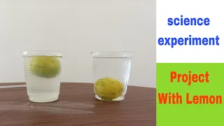 Density Experiment water lemon salt simpal science experiment