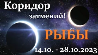 РЫБЫ ♓ КОРИДОР ЗАТМЕНИЙ 🚀 с 14 октября  - 28 октября 2023👍 расклад прогноз таро ! 🕑