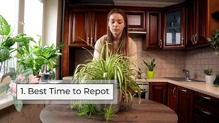 Houseplant Repotting Course, Part 1 | When to Repot a Plant