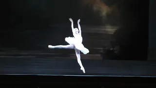 Dorothée Gilbert - Odette's solo (Act II) - Swan Lake/Le Lac des cygnes (Choreography : Noureev)