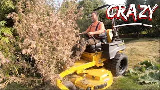 Cutting the WORST Lawn on Youtube -Start to finish