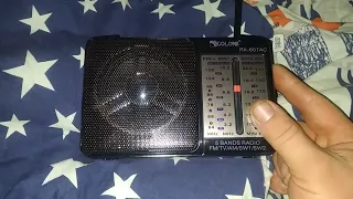 Golon Rx 607 AC FM сканування