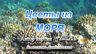 Удивительные цветы из моря!