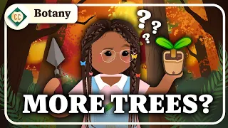 Can Planting Trees Fix Climate Change? (Plants & Biomes): Crash Course Botany #14