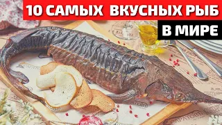 Топ 10 Самой Вкусной и Полезной Рыбы в Мире | Самая Вкусная Рыба | Самая Полезная Рыба