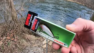 TROUT FISHING with Rapala Countdown (amazing lure)