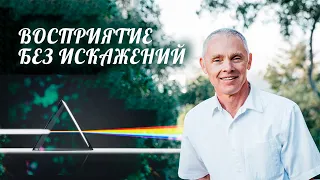 Просветление. Перестань подкармливать эгоистичное сознание! Адьяшанти