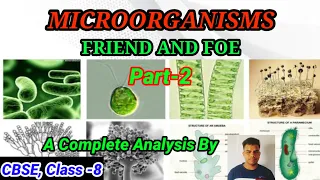 MICROORGANISMS: Friend And Foe//Part-2//Uses of Different Microorganisms// #aksorigineducation